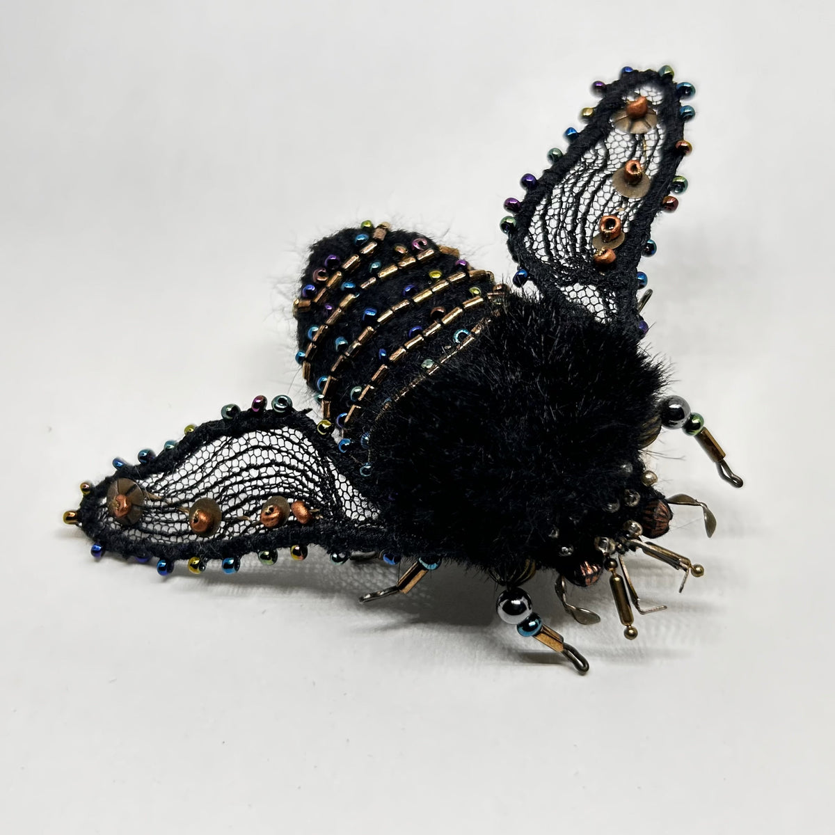 Pulchra Pellita — Kaunis karvane, pross