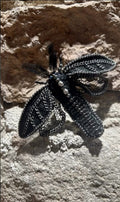 Noctua Argentea