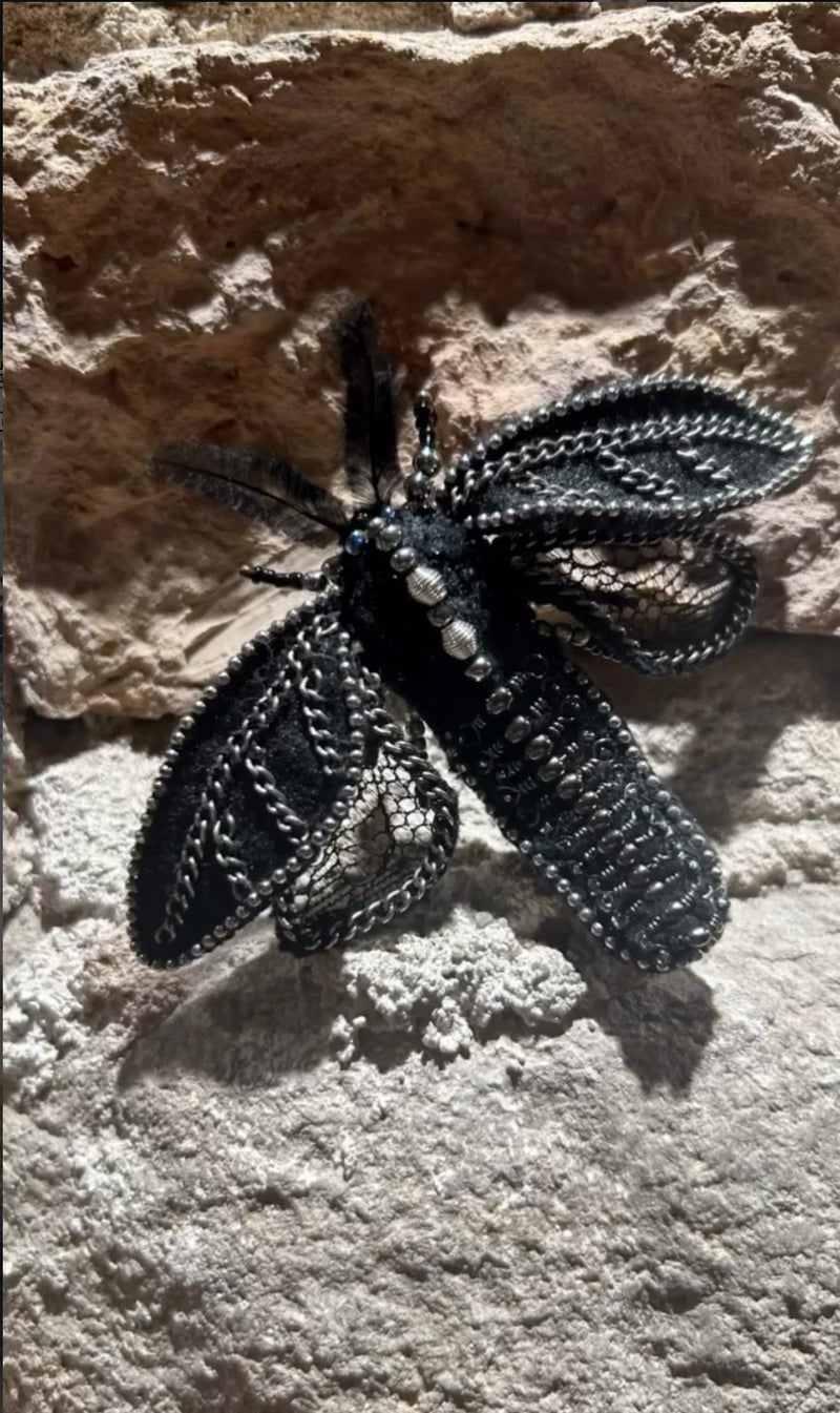 Noctua Argentea