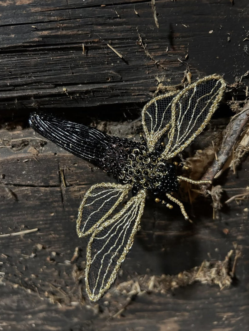 Libellula Aurata