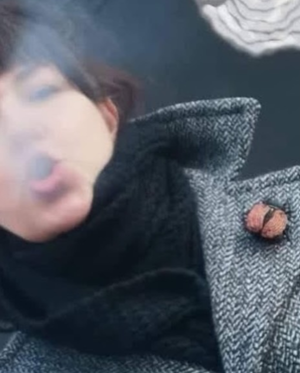 Insect Insane'i meister oma töölaua taga